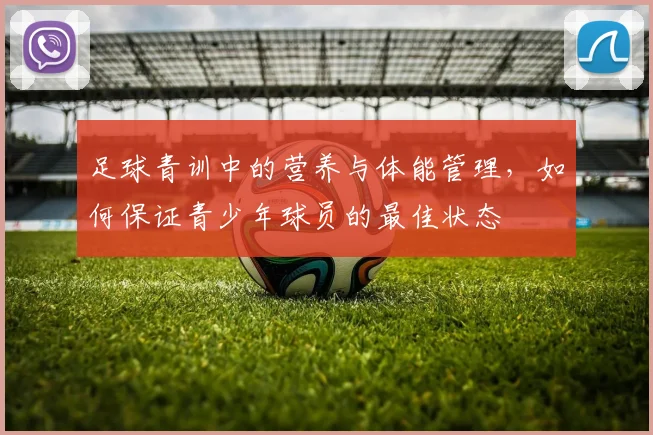 足球青训中的营养与体能管理,如何保证青少年球员的最佳状态