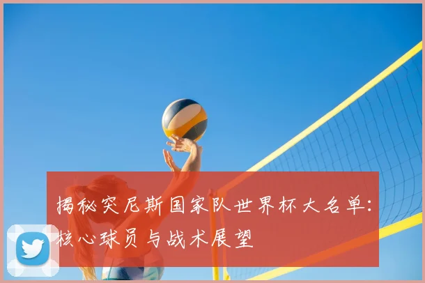 揭秘突尼斯国家队世界杯大名单：核心球员与战术展望