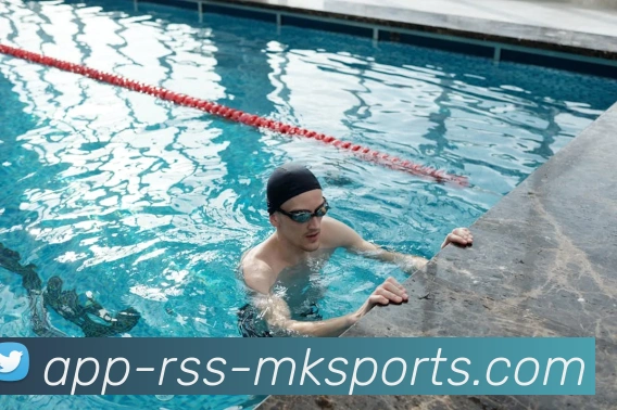 MK体育APP服务体系